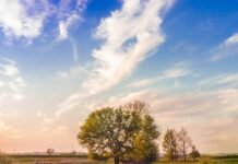 12월부터 농지에 ‘체류형 쉼터’ 설치 허용…“농촌 생활인구 늘린다” green grass field and trees