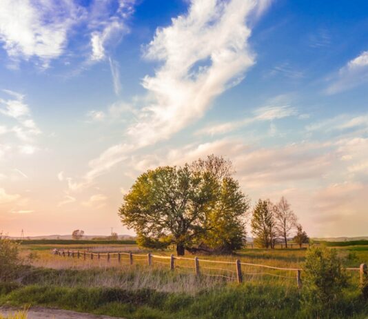 12월부터 농지에 ‘체류형 쉼터’ 설치 허용…“농촌 생활인구 늘린다” green grass field and trees