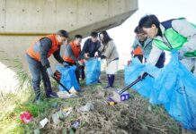 하천 클린데이 및 생태 교란 식물 제거