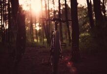 겨울철 스트레스 해소를 위한 운동 가이드 bicycle between trees in sunset