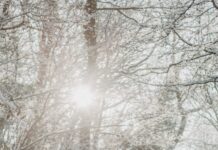 일상 속 건강을 지키는 10가지 좋은 습관 person in brown winter coat standing on snow covered ground during daytime