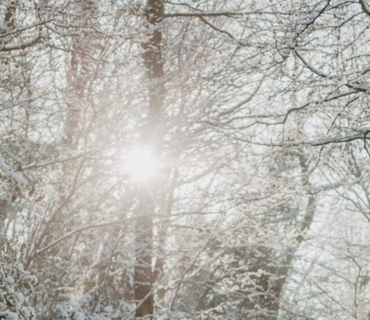 일상 속 건강을 지키는 10가지 좋은 습관 person in brown winter coat standing on snow covered ground during daytime