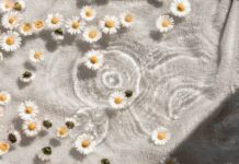 일상 속에서 즐기는 웰니스 문화, 어떻게 실천할까? white and blue floral textile